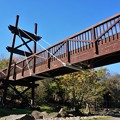 写真: 泉の森の橋