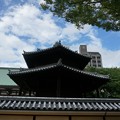 写真: 博多祇園山笠 2016年 追い山ならし  (10)