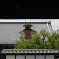 写真: 西本願寺にて