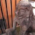 写真: 島原住吉神社狛犬