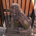 写真: 島原住吉神社狛犬　横