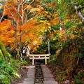 写真: 瀧宮神社