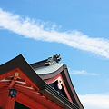 写真: 伏見稲荷の空