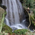 写真: 庭園の滝2