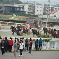 写真: ばんえい競馬
