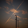 写真: 朝焼けと飛行機雲