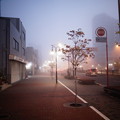 写真: 濃霧の朝