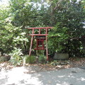 写真: 穴守稲荷神社