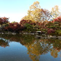 府中の森公園　日本庭園