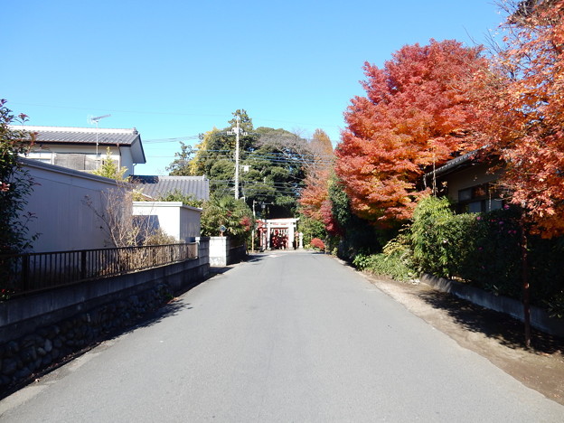 写真: 中野原稲荷神社