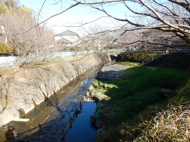 写真: 平瀬川