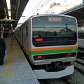 写真: 結局、JR東日本E231系のクロスシートで大船から横浜まで。