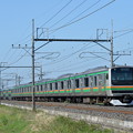 写真: 東北本線普通列車 E231系