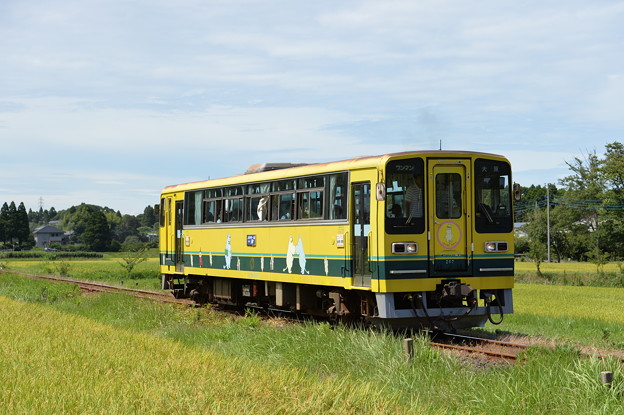 写真: いすみ鉄道 普通列車18D (いすみ202)