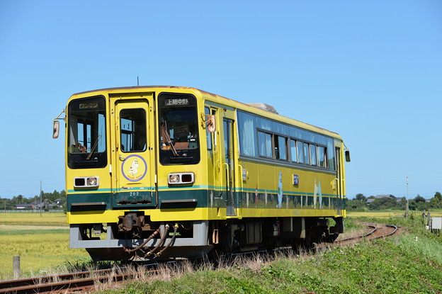 いすみ鉄道 普通列車21D (いすみ202)