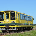 写真: いすみ鉄道 普通列車21D (いすみ202)