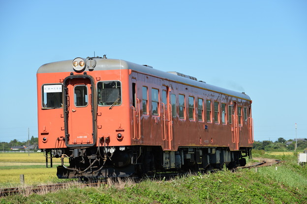 いすみ鉄道 臨時急行3号 (キハ52 125)