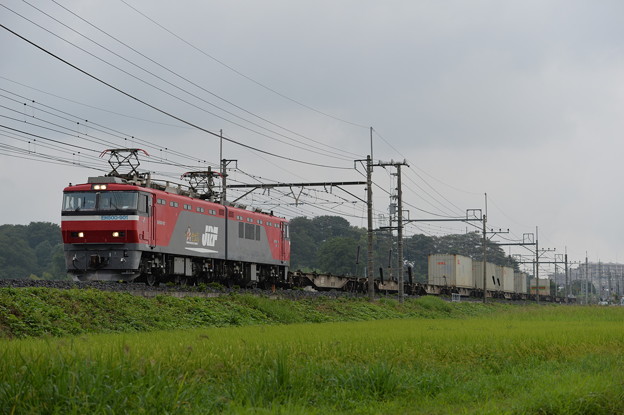 写真: 貨物列車 EH500-901