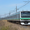 写真: 成田線普通列車 E231系10両