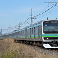 成田線普通列車 E231系10両