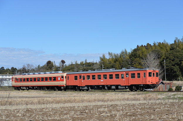 写真: いすみ鉄道 103D キハ52 125 + キハ28 2346