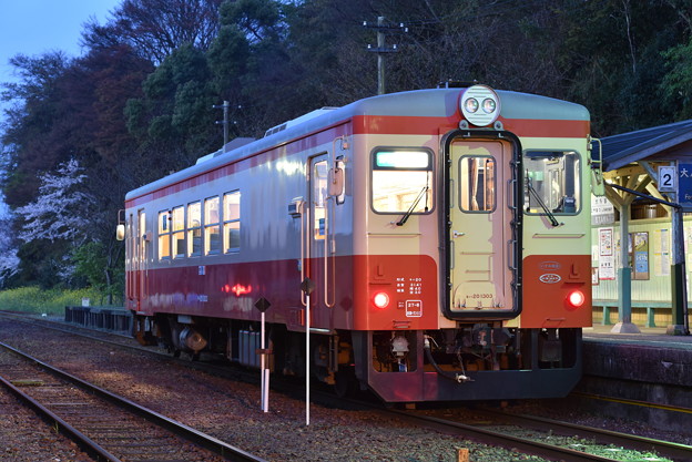 いすみ鉄道 普通列車 2D (キハ20 1303)