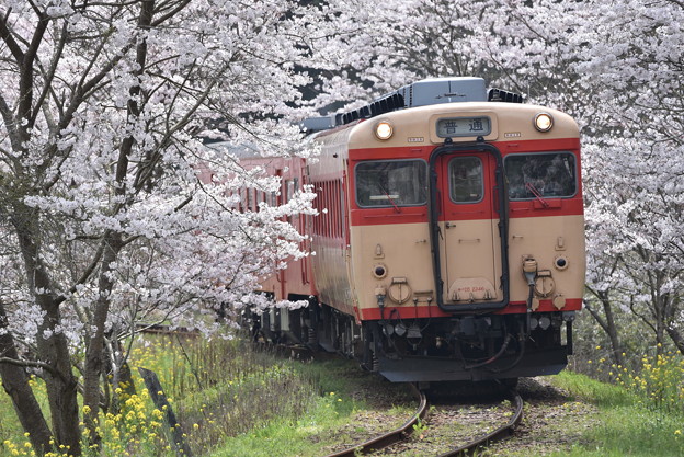 写真: いすみ鉄道 普通列車 516D (キハ28 2346 + キハ52 125)