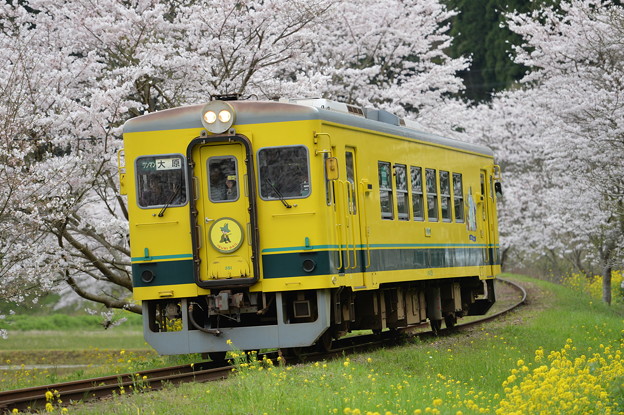 写真: いすみ鉄道 普通列車 18D