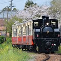 写真: 小湊鐵道 里山トロッコ 3号