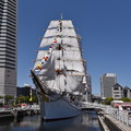 写真: 日本丸 総帆展帆＋満船飾
