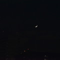 隅田川から見る月