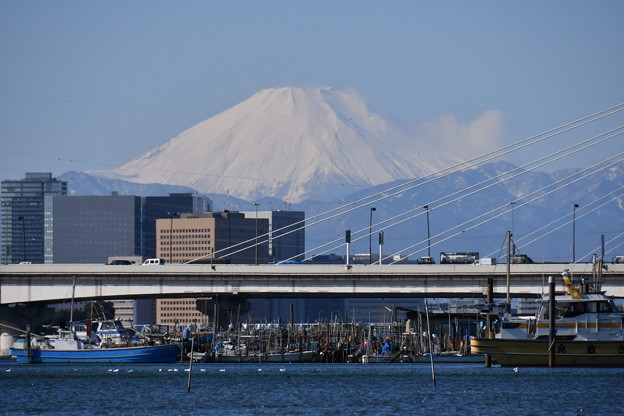 写真: 都内から見た富士山