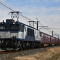 写真: 貨物列車 (EF641017)