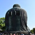 写真: 鎌倉の大仏、後ろから
