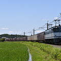 写真: 貨物列車 (EF652097)