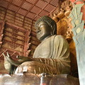 写真: 奈良の大仏