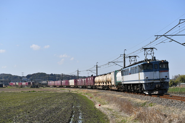写真: 貨物列車 (EF652084)