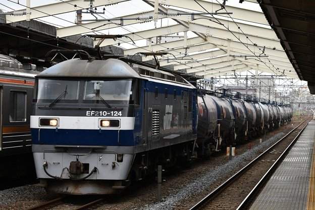写真: 貨物列車 (EF210-124)