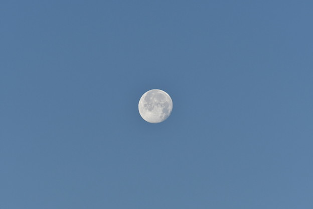 写真: 初日の出が出たときのお月さま