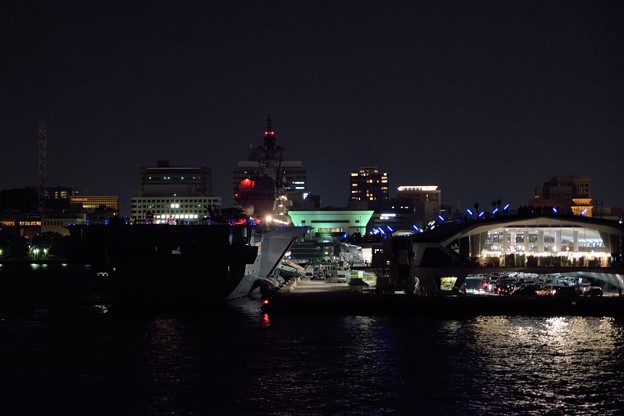 写真: 東京湾夜景航路-14