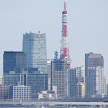 東京タワーとジェットフォイル