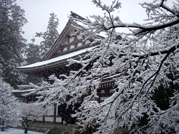 写真: 円覚寺仏殿１-20120229