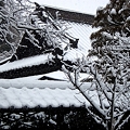 写真: 東慶寺書院の屋根20120229