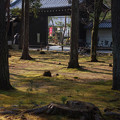 写真: 南禅寺境内にて20141231
