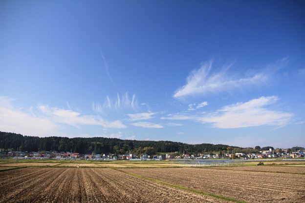 写真: 青空と田圃02-11.11.02