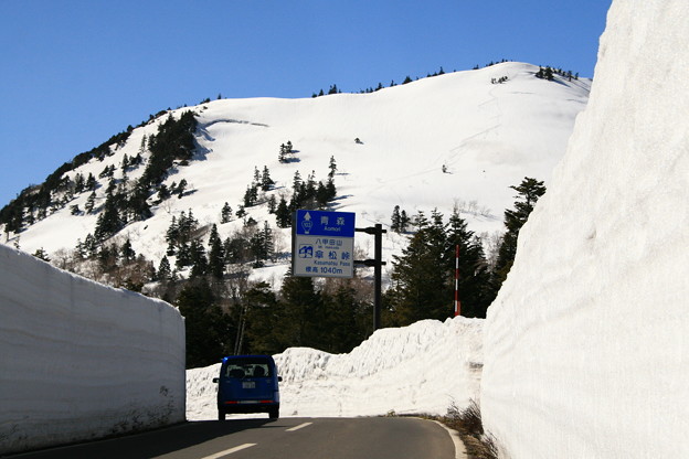 写真: 雪の回廊「笠松峠」