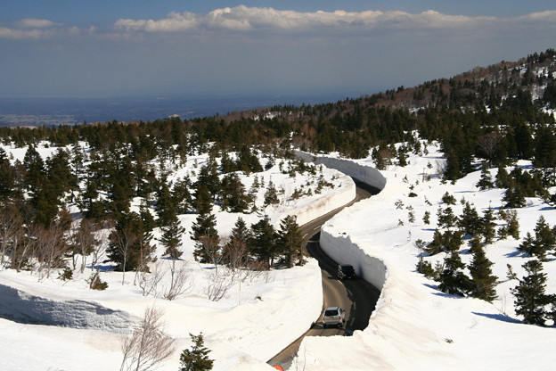 写真: 雪の回廊