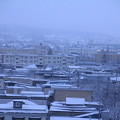 Photos: 雪の朝景色02