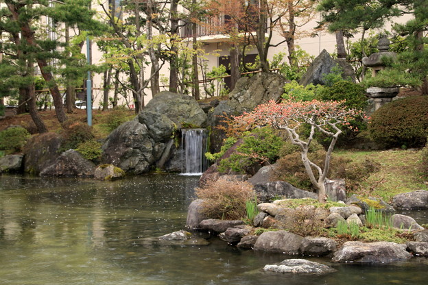 写真: 日本庭園−１