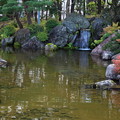 日本庭園の秋03